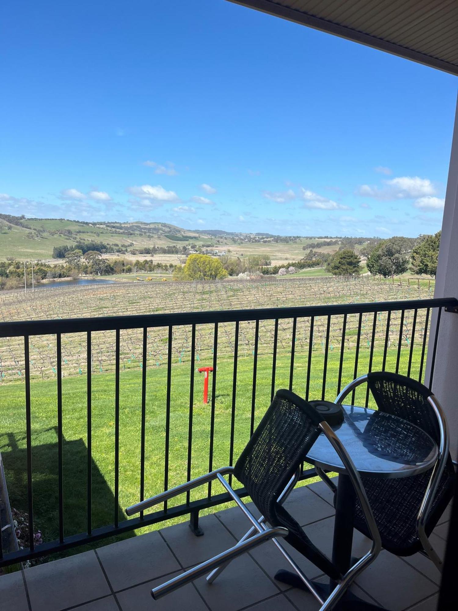 Turners Vineyard Motel オレンジ エクステリア 写真